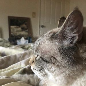 Meet your Posher, Krista